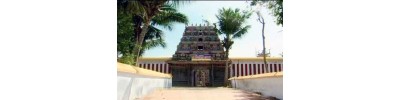 21. திருநந்திபுர விண்ணகரம்